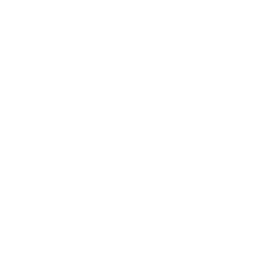 1906