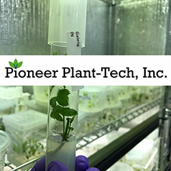 Pioneer Plant Tech
